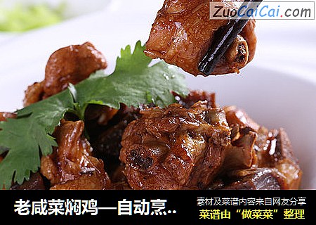 老咸菜焖鸡—自动烹饪锅食谱