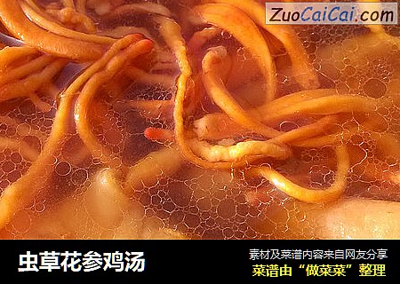 虫草花参鸡汤
