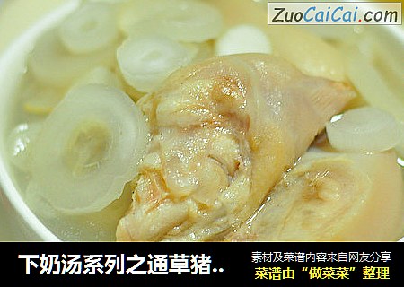 下奶汤系列之通草猪脚汤
