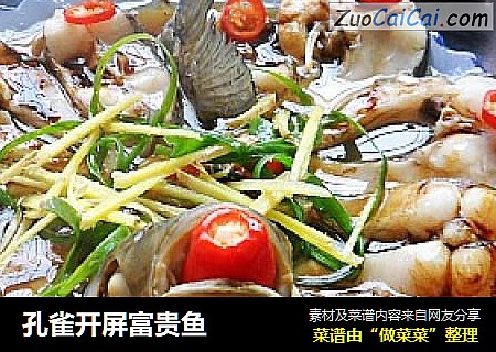 孔雀开屏富贵鱼