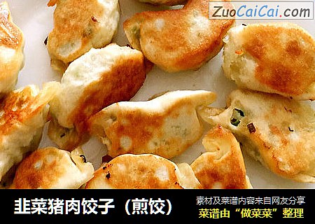 韭菜猪肉饺子（煎饺）