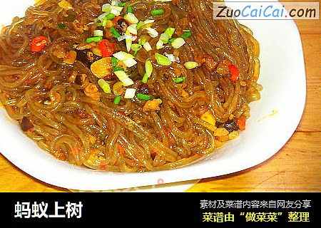 蚂蚁上树