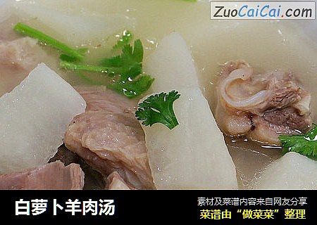 白萝卜羊肉汤