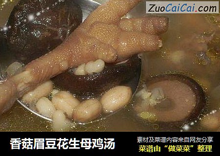香菇眉豆花生母鸡汤