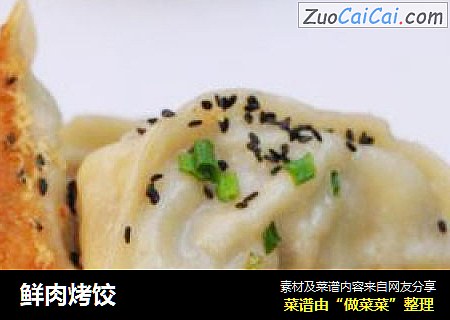 鲜肉烤饺