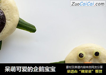 呆萌可爱的企鹅宝宝