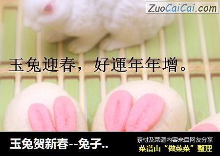 玉兔贺新春--兔子饼干