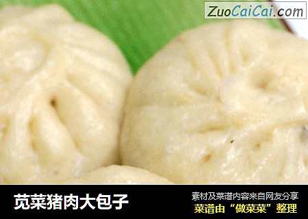 苋菜猪肉大包子