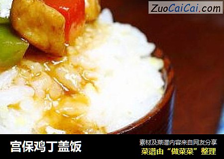 宫保鸡丁盖饭