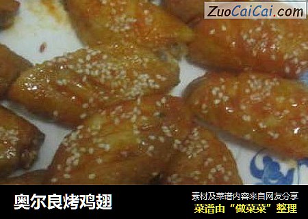 奥尔良烤鸡翅