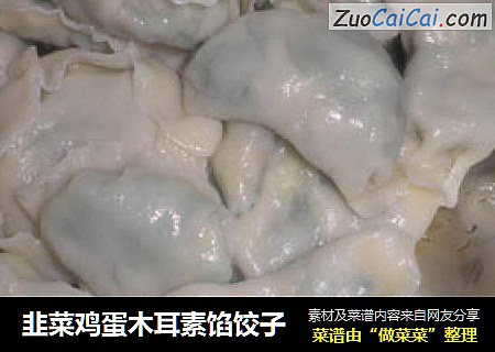 韭菜鸡蛋木耳素馅饺子