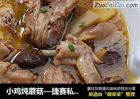 小鸡炖蘑菇—捷赛私房菜