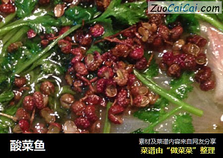 酸菜鱼
