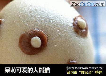 呆萌可爱的大熊猫