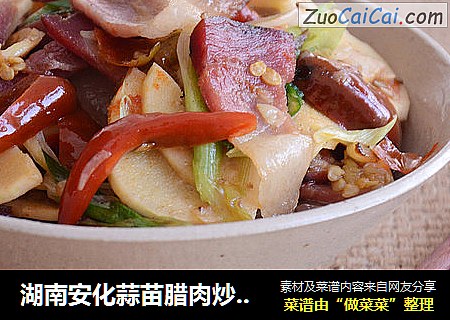 湖南安化蒜苗腊肉炒饭~山哥来了系列美食
