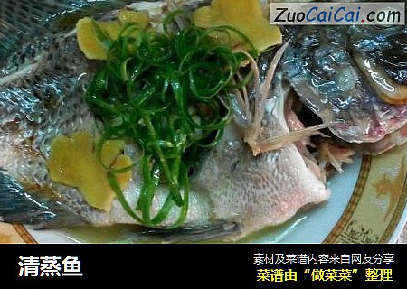 清蒸鱼