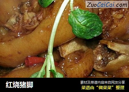 红烧猪脚