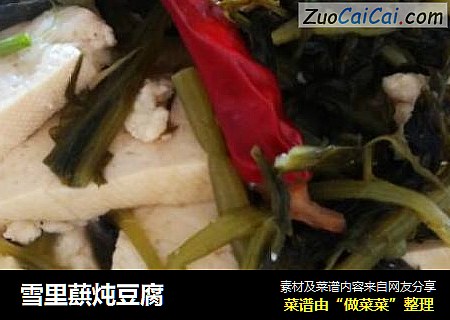 雪里蕻炖豆腐