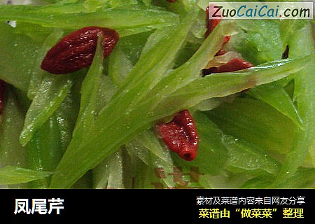 凤尾芹