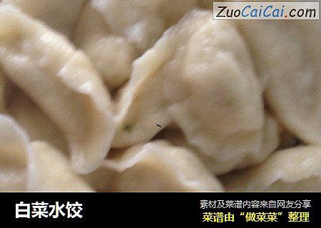 白菜水饺
