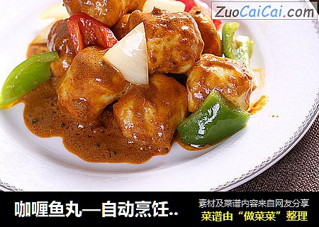 咖喱鱼丸—自动烹饪锅食谱