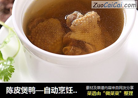陈皮煲鸭—自动烹饪锅食谱