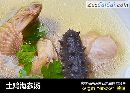 土鸡海参汤