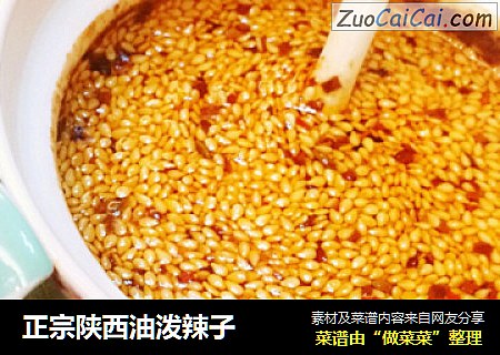 正宗陕西油泼辣子
