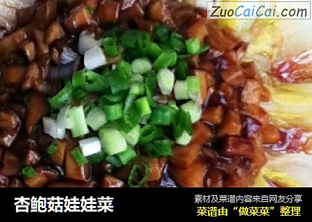 杏鲍菇娃娃菜