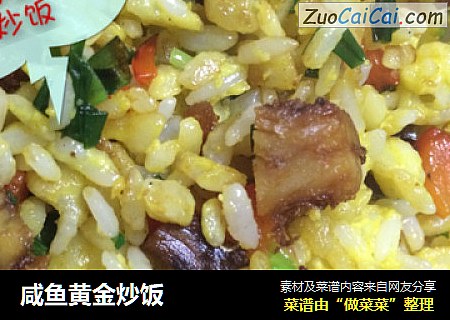 咸鱼黄金炒饭