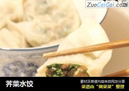 荠菜水饺