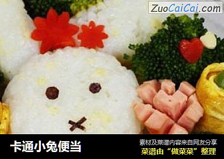 卡通小兔便当