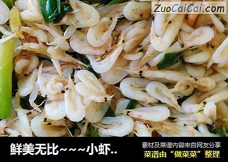 鲜美无比~~~小虾炒韭菜