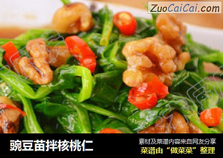 豌豆苗拌核桃仁