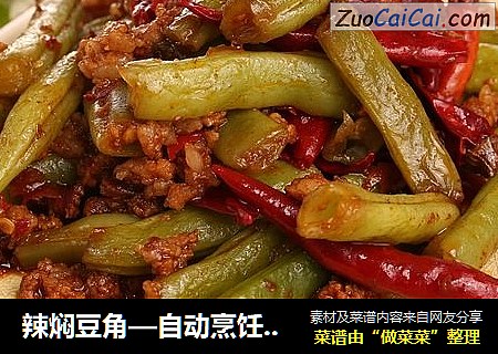 辣焖豆角—自动烹饪锅食谱
