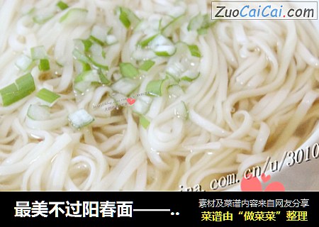 最美不过阳春面——朴素却又美味的一碗面
