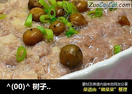 -_-树子马蹄蒸肉饼☆蒸肉饼2