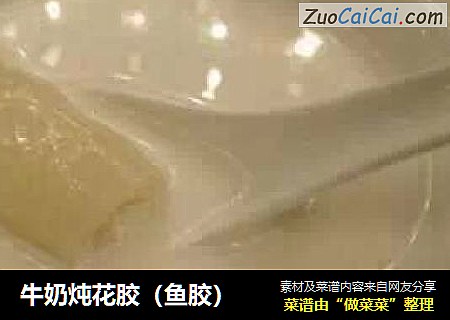 牛奶炖花胶（鱼胶）