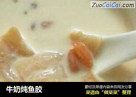 牛奶炖鱼胶