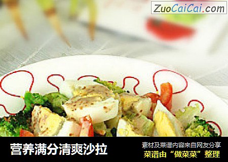 营养满分清爽沙拉
