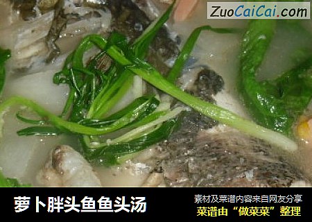 萝卜胖头鱼鱼头汤