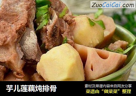 芋儿莲藕炖排骨
