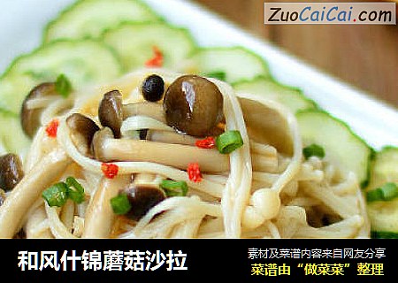 和风什锦蘑菇沙拉