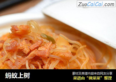 蚂蚁上树