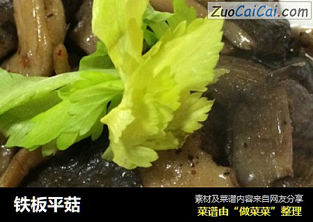 铁板平菇