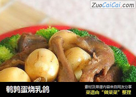鹌鹑蛋烧乳鸽