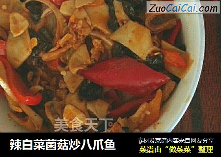 辣白菜菌菇炒八爪鱼