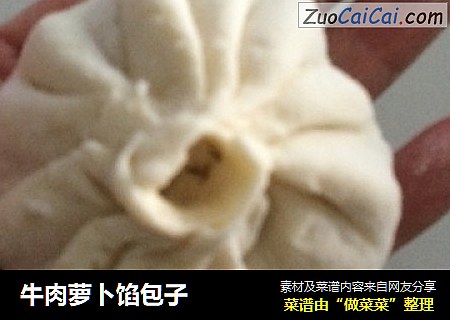 牛肉萝卜馅包子