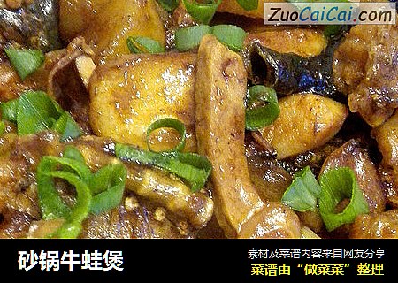 砂锅牛蛙煲