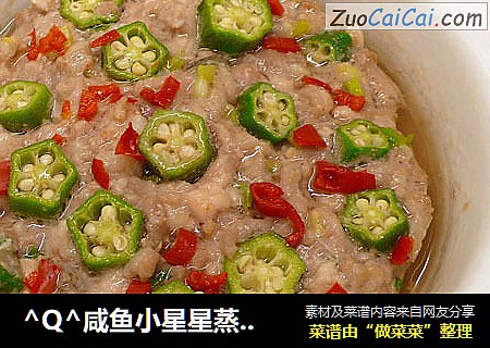 -_-咸鱼小星星蒸肉饼☆蒸肉饼11